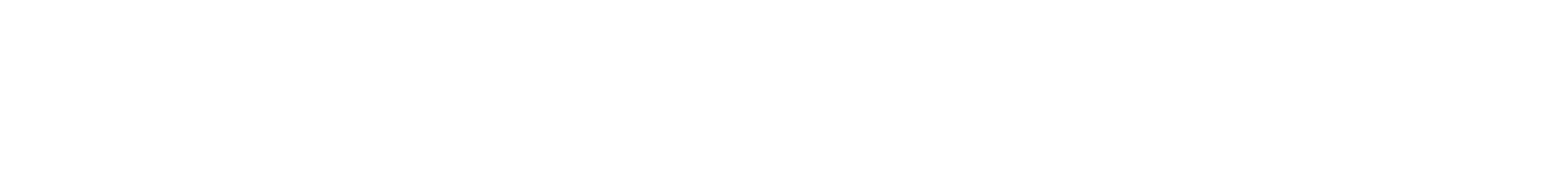 Peeters Group