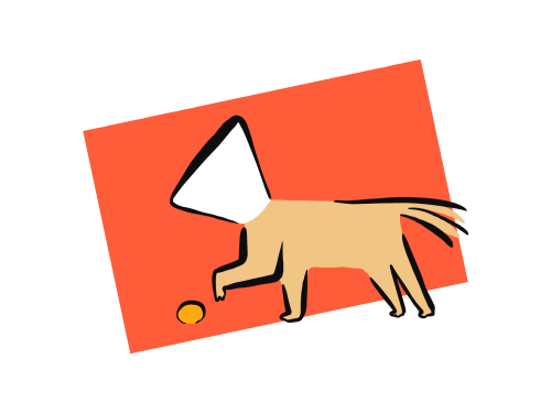 Gif Hond Pet Secure